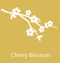 cherry blossom